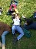 Aggiornamento 
