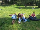 Aggiornamento 
