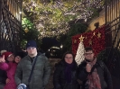 Ultimo incontro del 2018 tra le luci ed i colori di Sorrento-1
